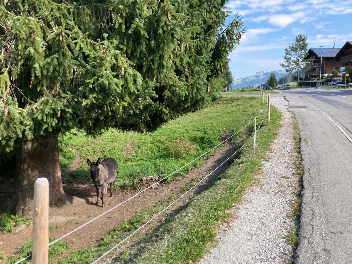 Chalet Alte Post Bad-Schwarzsee Екстер'єр фото